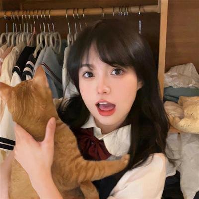 菊石